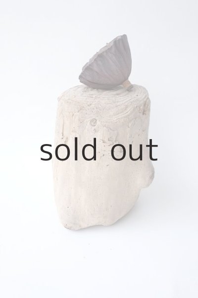 画像3: 変形流木 (3)