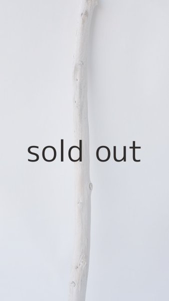 画像3: 枝流木 (3)