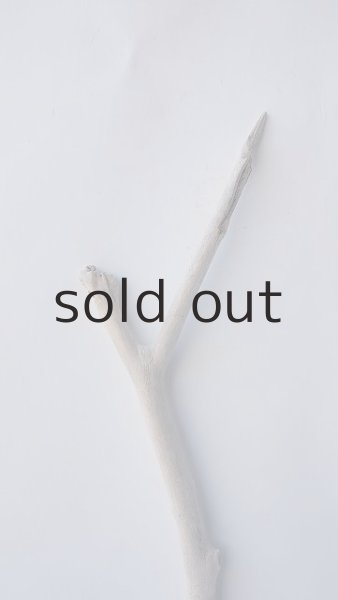 画像4: 枝流木 (4)