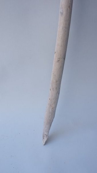 画像2: 枝流木 (2)