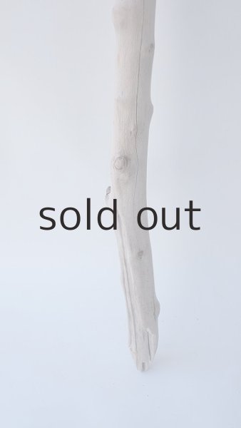 画像2: 枝流木 (2)