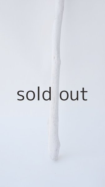 画像2: 枝流木 (2)