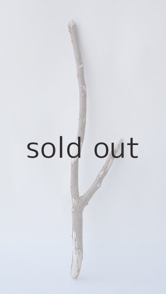 画像1: 枝流木 (1)