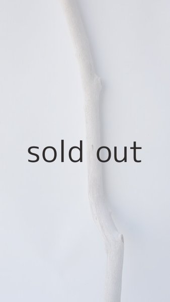 画像3: 枝流木 (3)