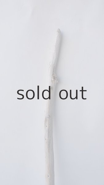 画像4: 枝流木 (4)