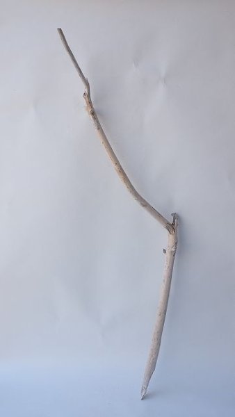 画像1: 枝流木 (1)