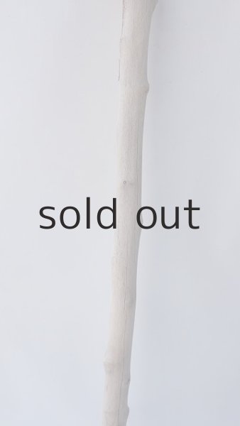 画像3: 枝流木 (3)