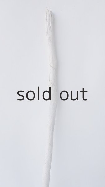 画像3: 枝流木 (3)