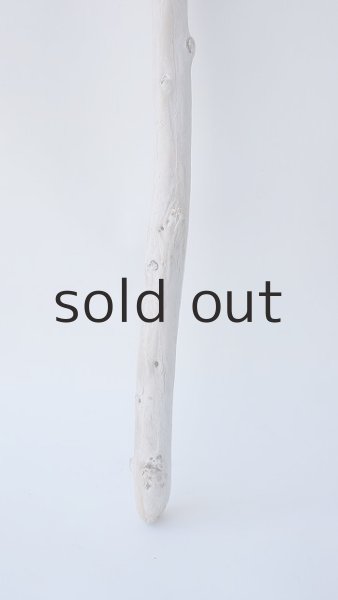 画像2: 枝流木 (2)