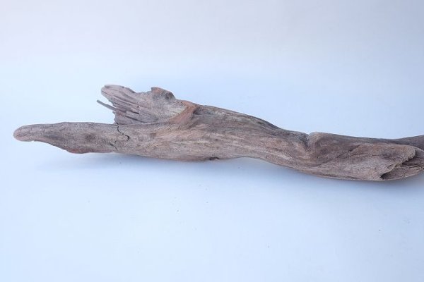 画像4: 変形流木 (4)