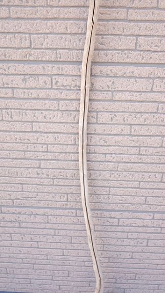 画像3: 枝流木 (3)