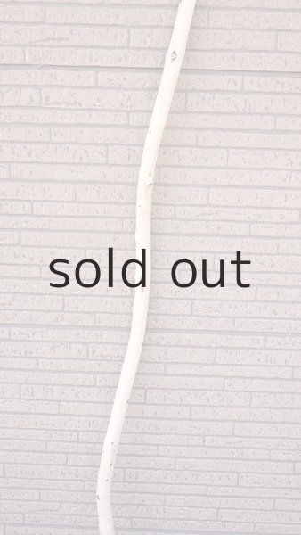 画像3: 棒流木・長尺 (3)