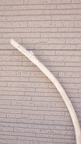 画像4: 棒流木 (4)