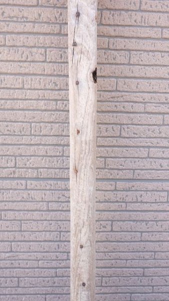 画像11: 板流木 (11)