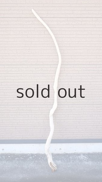 画像1: 枝流木 (1)