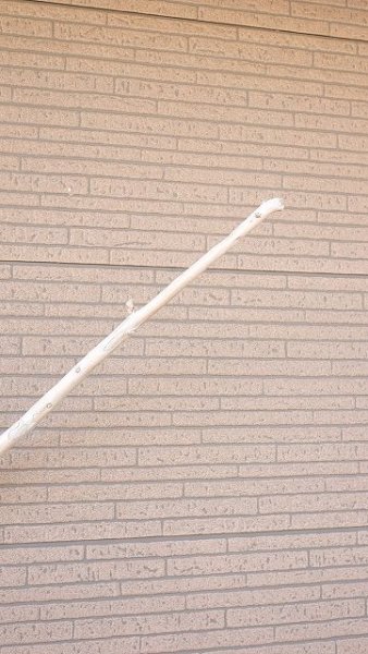 画像7: 棒流木・長尺 (7)