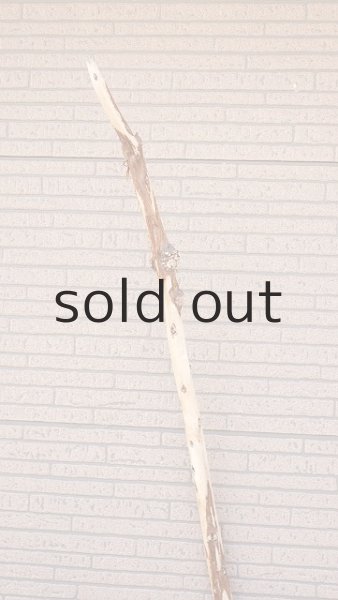 画像6: 棒流木・長尺 (6)