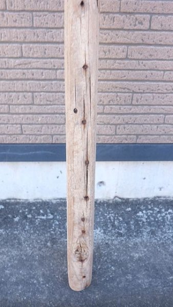 画像8: 板流木 (8)