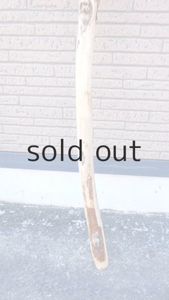 画像2: 棒流木・長尺 (2)