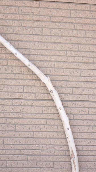 画像4: 棒流木・長尺 (4)