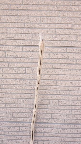 画像4: 枝流木 (4)