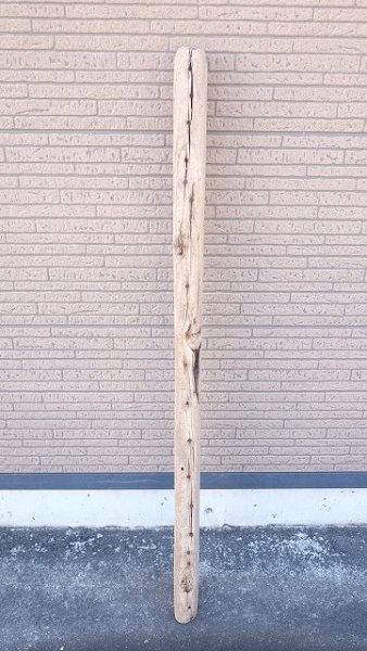 画像5: 板流木 (5)