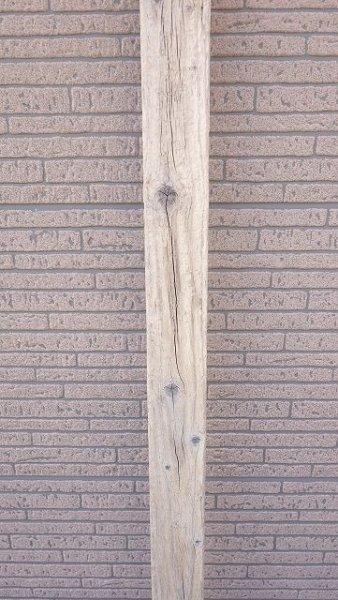 画像3: 板流木・長尺 (3)