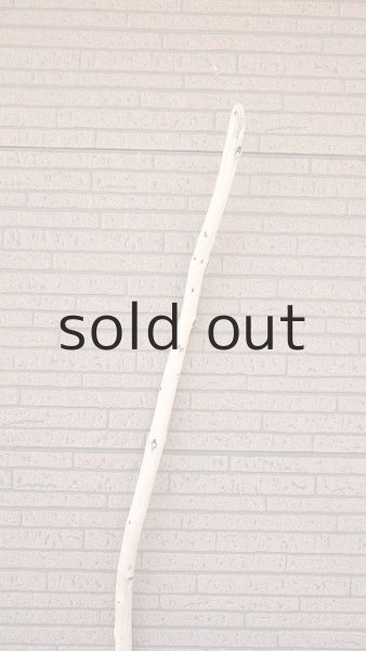 画像4: 棒流木・長尺 (4)