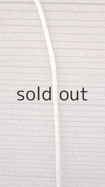 画像3: 棒流木・長尺 (3)