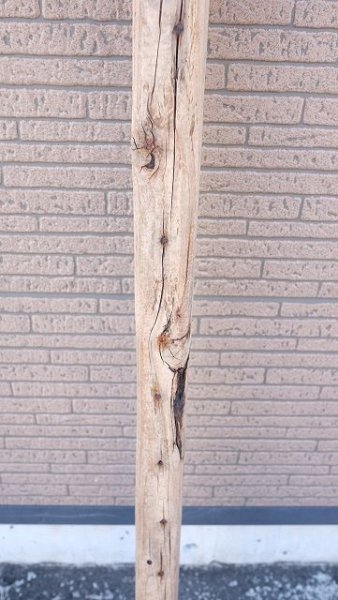 画像7: 板流木 (7)