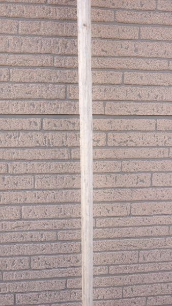 画像6: 板流木・長尺 (6)