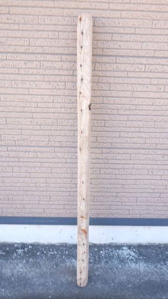 画像9: 板流木 (9)