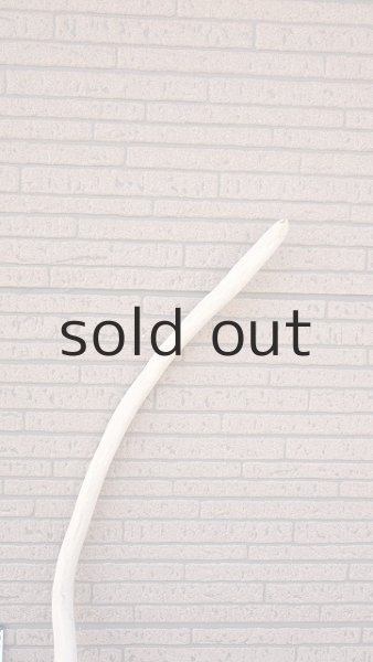 画像5: 枝流木 (5)