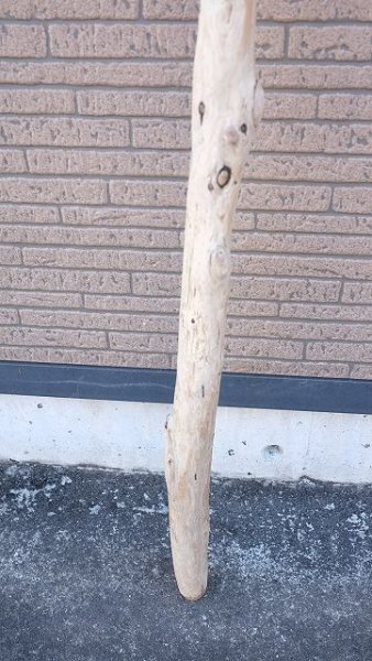 画像2: 棒流木 (2)