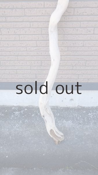 画像2: 枝流木 (2)