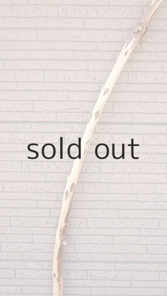 画像4: 棒流木・長尺 (4)