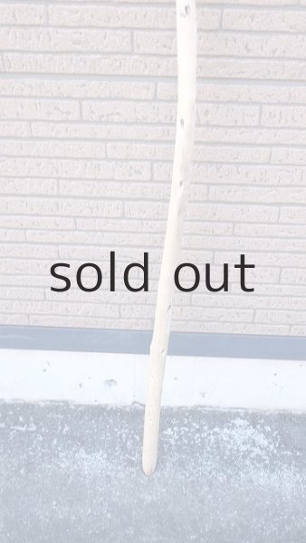 画像2: 棒流木・長尺 (2)