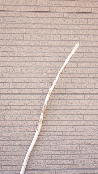 画像4: 棒流木 (4)