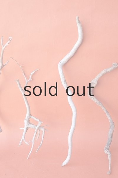 画像3: 流木根セット (3)