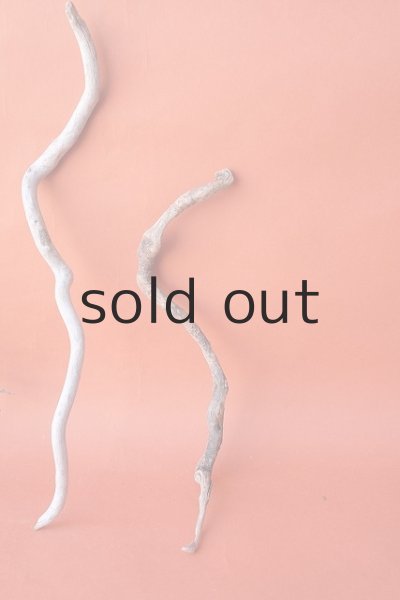 画像4: 流木根セット (4)