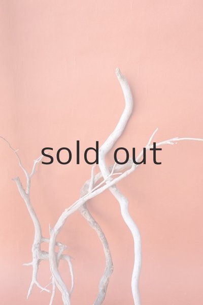 画像6: 流木根セット (6)