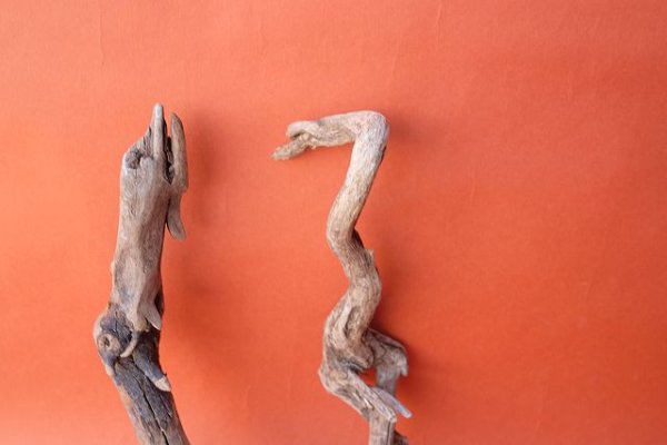 画像3: 流木根セット (3)