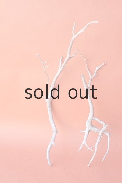 画像2: 流木根セット (2)