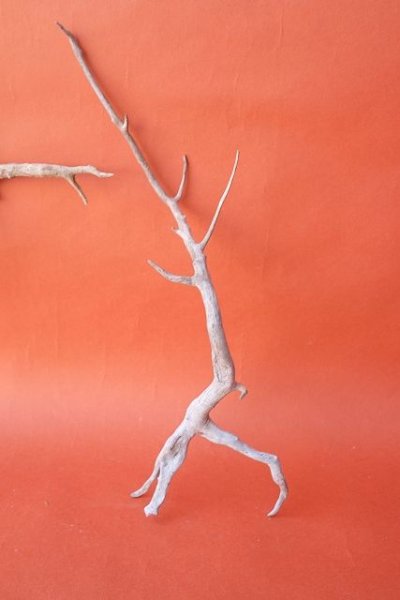 画像3: 流木根セット (3)