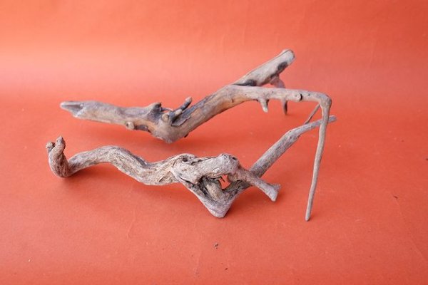 画像4: 流木根セット (4)