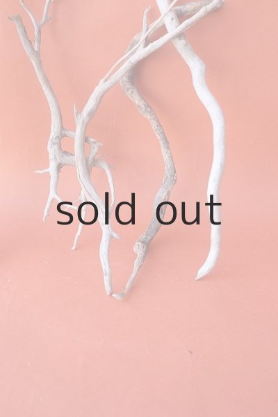 画像5: 流木根セット (5)