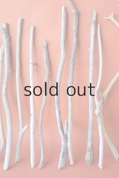 画像4: 小枝流木セット (4)