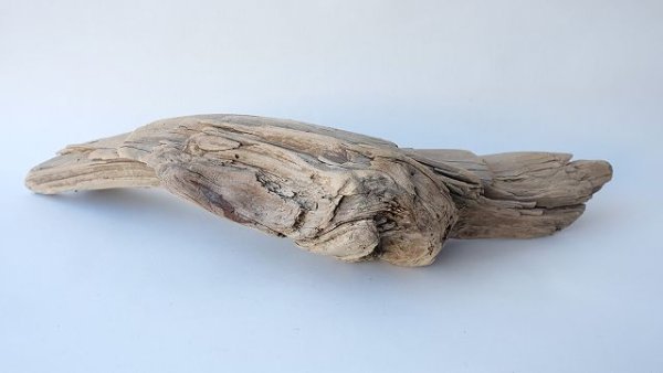 画像5: 変形流木 (5)