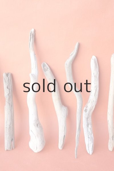 画像3: 小枝流木セット (3)