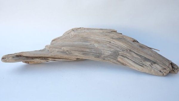 画像7: 変形流木 (7)